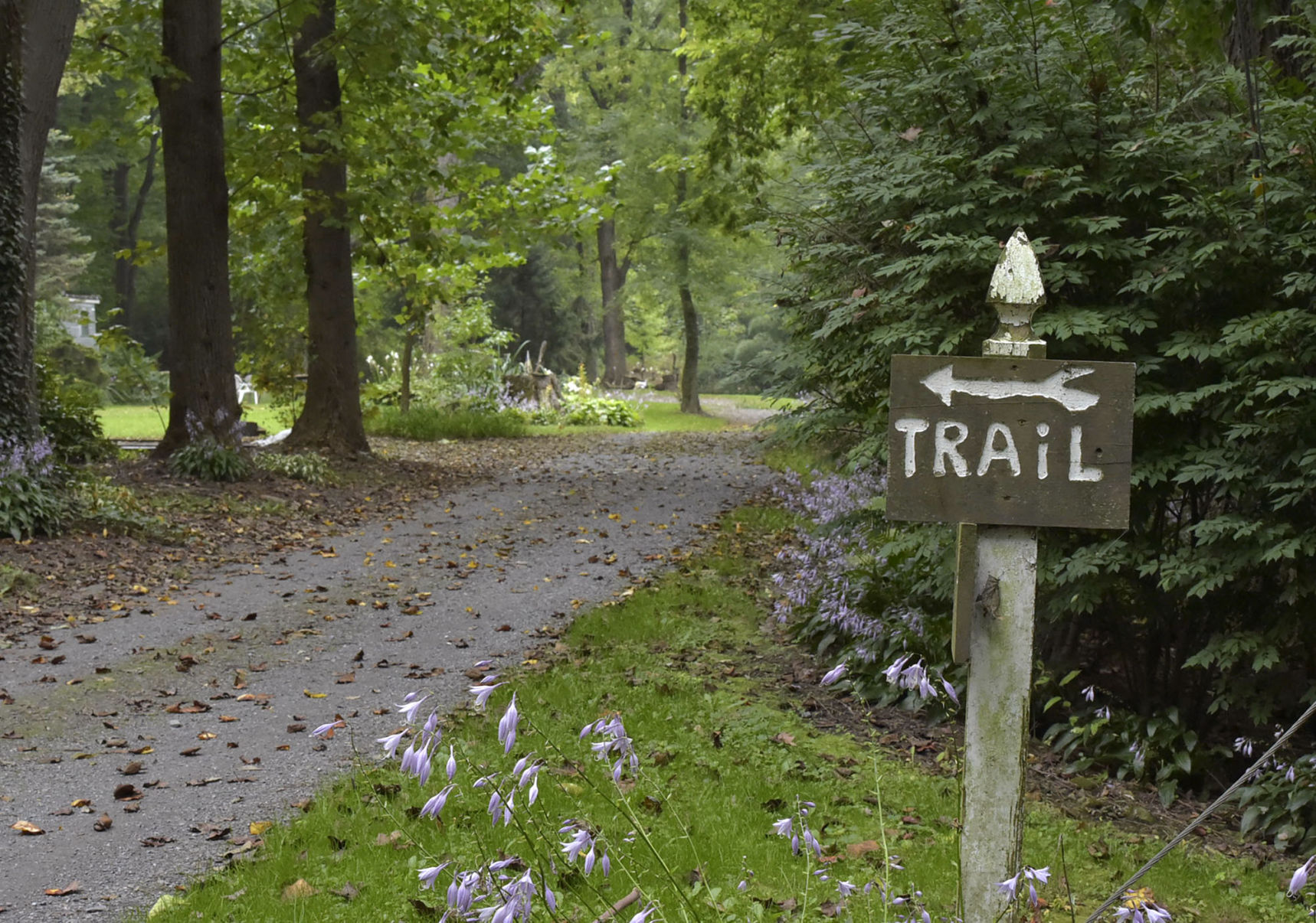 northwest river trail02.jpg